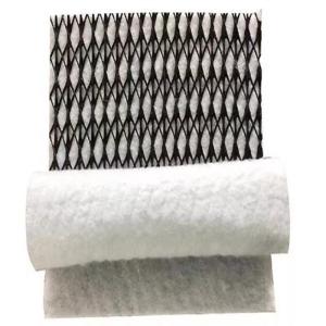 density Polyethylene Plastic Certification Geocomposite Drainage GEONET for
