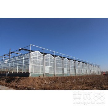 Full Set of Agricultural Greenhouses with Galvanized Skeleton and Easy to Install