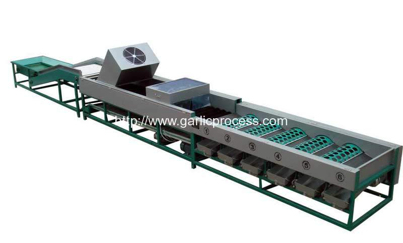 automatic-garlic-dry-cleaning-and-sorting-machine