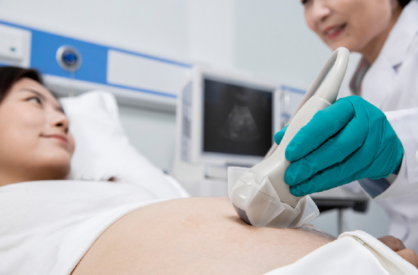 ISO Approval Ultrasound Transducer Probe Covers Disposable Sterile General Purpose