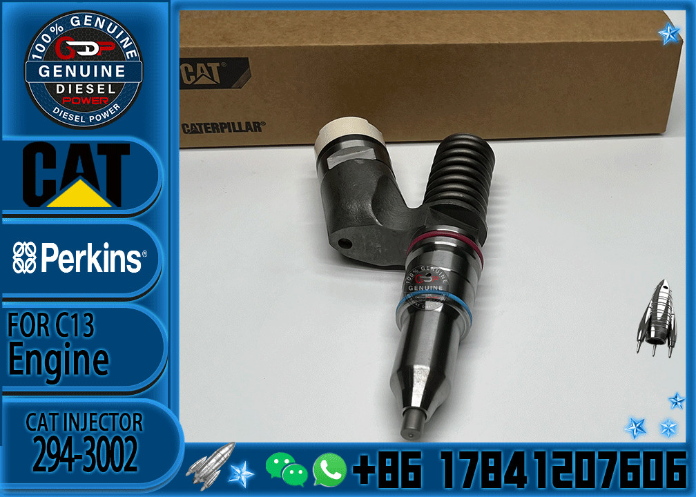 250-1309 10R-3258 2501309 10R3258 for CAT fuel diesel engine part 294-3002 10R-6162 nozzle C15 C13