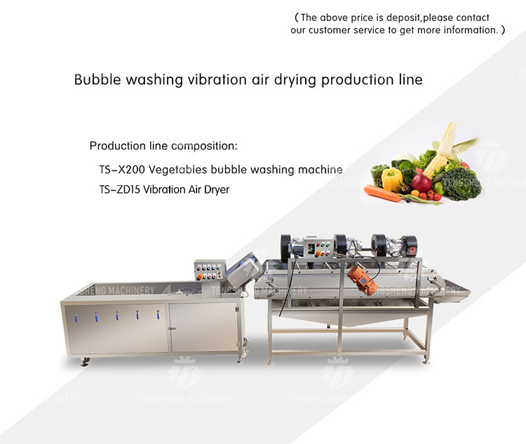 Vegetables and Fruits Bubble Cleaning Vibration Air Drying Machine Production Line