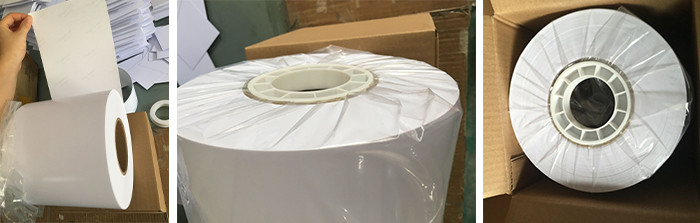 Dry Minilab Glossy Photo Paper Roll