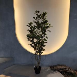 Quality Insect Resistant Artificial Plants Indoor Artificial Green Walls 150CM for sale