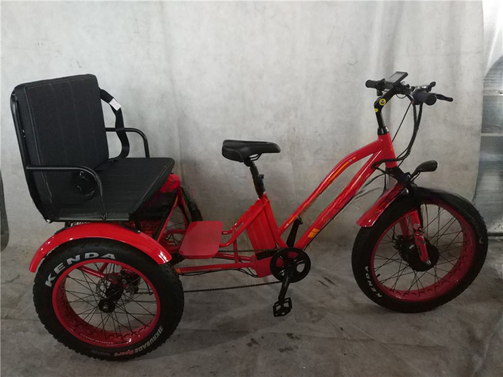 Shimano Gear Alloy Stem Dual Batteries Folding Step Through Ebike for Carrying Kids