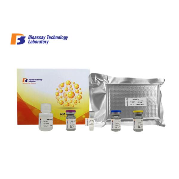 Buy Customized Mouse Interferon Gamma ELISA Kit  High Sensitive Mouse IFNG ELISA Kit at wholesale prices