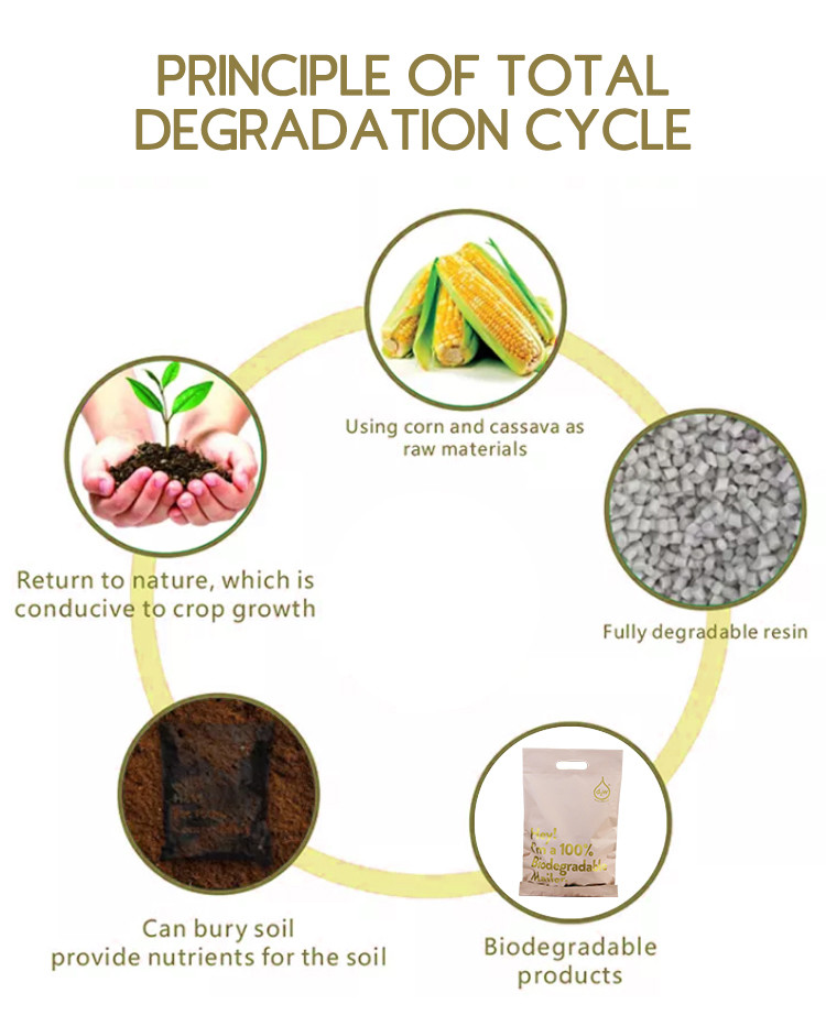 Biodegradable Material PLA Cornstarch Compostable Poly Mailers