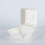 Disposable Biodegradable Bagasse fast food takeaway dinnerware container