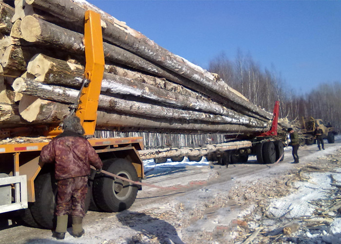 Off Road Heavy Log Loader Truck , Loading Logging Trucks With Tri Angle Log Pillar