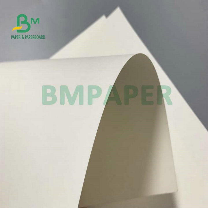  C1S Food Grade FBB Board 270g 325g 350g For Making Hamburger Box