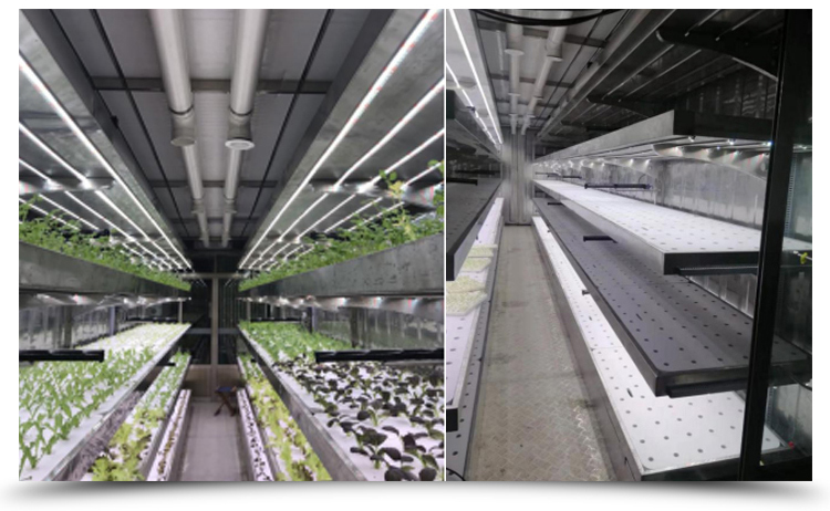 Temperature Climate Control 40 Foot Container Hydroponic Farm Greenhouse Agricultural Growing System