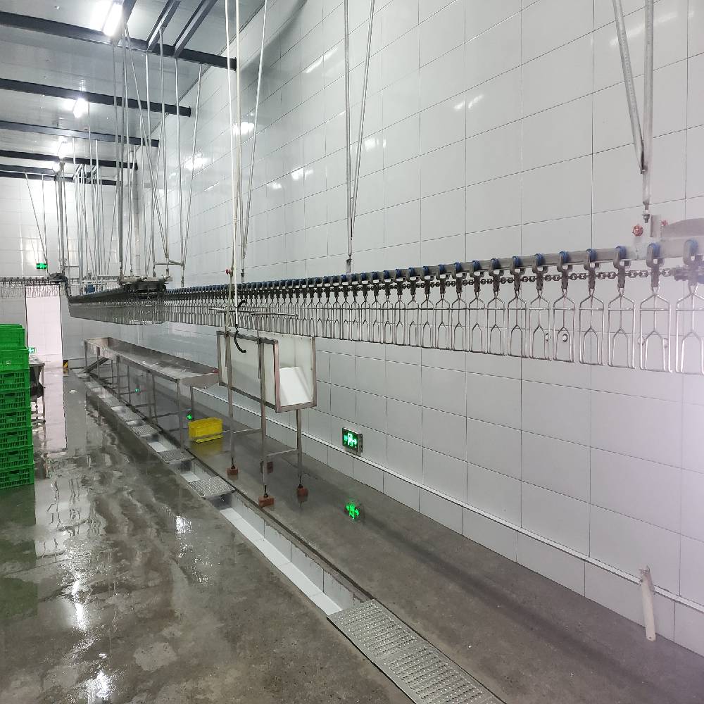 Stainless Steel Slaughter Processing Line 500bph 10000bph Chicken Abattoir Equipment