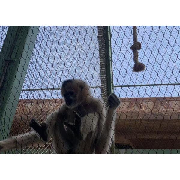 2.5mm SS 316 Wire Rope Mesh For Zoo Enclosures 15m X 5m