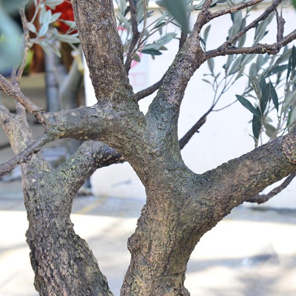 Customized Realistic UV Resistant Large Indoor Olive Tree​ For Commercial Projects Residential Use