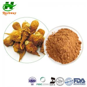 Quality Bone Health Tongkat Ali Extract Powder Maca Root Extract Powder for sale