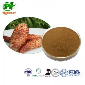 China 93236-42-1 Plant Extract Powder Cistanche Tubulosa Extract Cistanche Deserticola Extract on sale