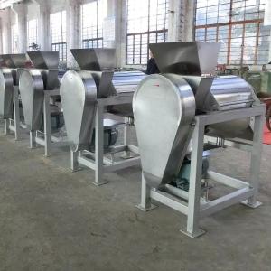 Quality Multifunction Fruit Juicer Production Line Ginger Juicer Machine for sale