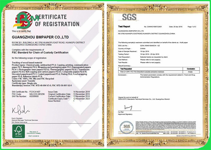 Offset Printing PE Coated Paper 300 + 15g Disposable 750 / 800 / 900mm