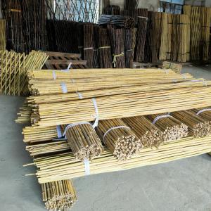 China Colorful Raw Bamboo Canes Bamboo Poles For Garden Agriculture on sale