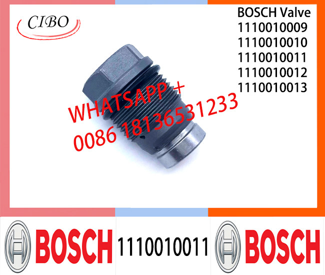 Pressure relief valve 1110010011 1110010010 1110010018 1110010019 1110010014 1110010015