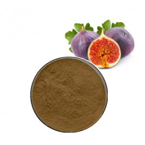 Quality Lower Blood Pressure Fumaric Acid Ficin Fig Fruit Powder Fig Extract Fig Powder for sale