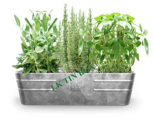 Quality Metal Tin Bucket Rectangular Flower Vegetables Plants Herbs Growing for sale
