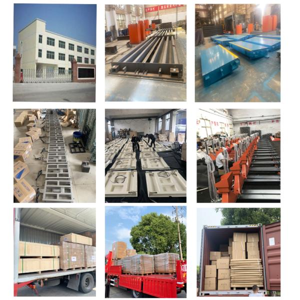 30kg Calibration Electronic Scale Acs 220V 110V with and Customized Support ODM 40kg Acs-809 Digital Computing Scale