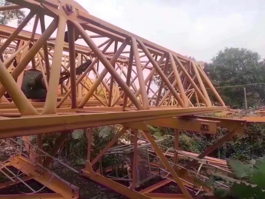 New Year 2019 Used Zoomlion Tower Crane T2020-12e with Dismountable Section