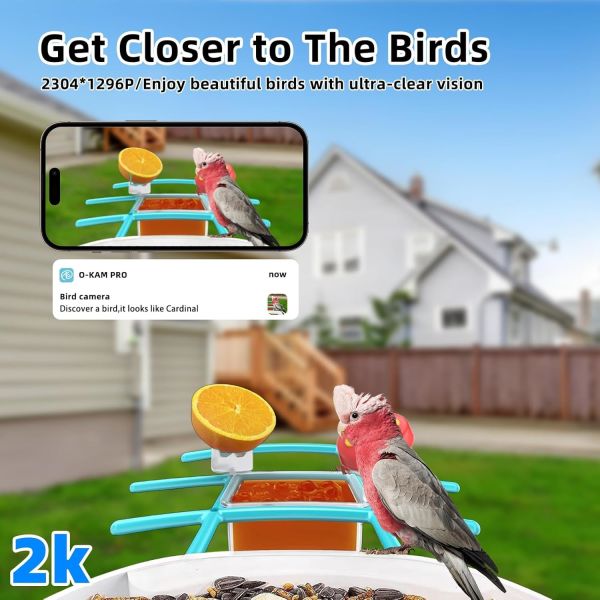 Outdoor Smart Bird Feeder Camera - Side view demonstrating installation