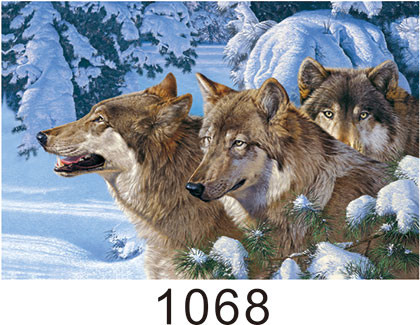 0.6mm Thickness 3D Lenticular Images , Advertising Poster 3D Wolf Picture