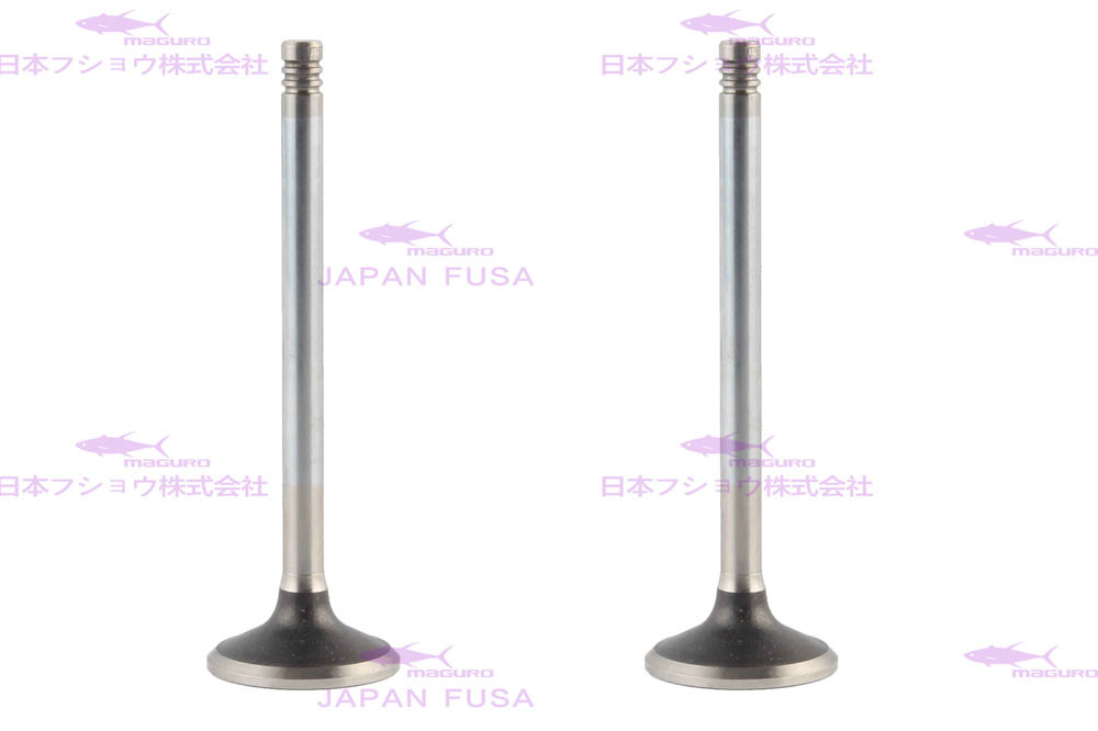 Engine Valve for D7E