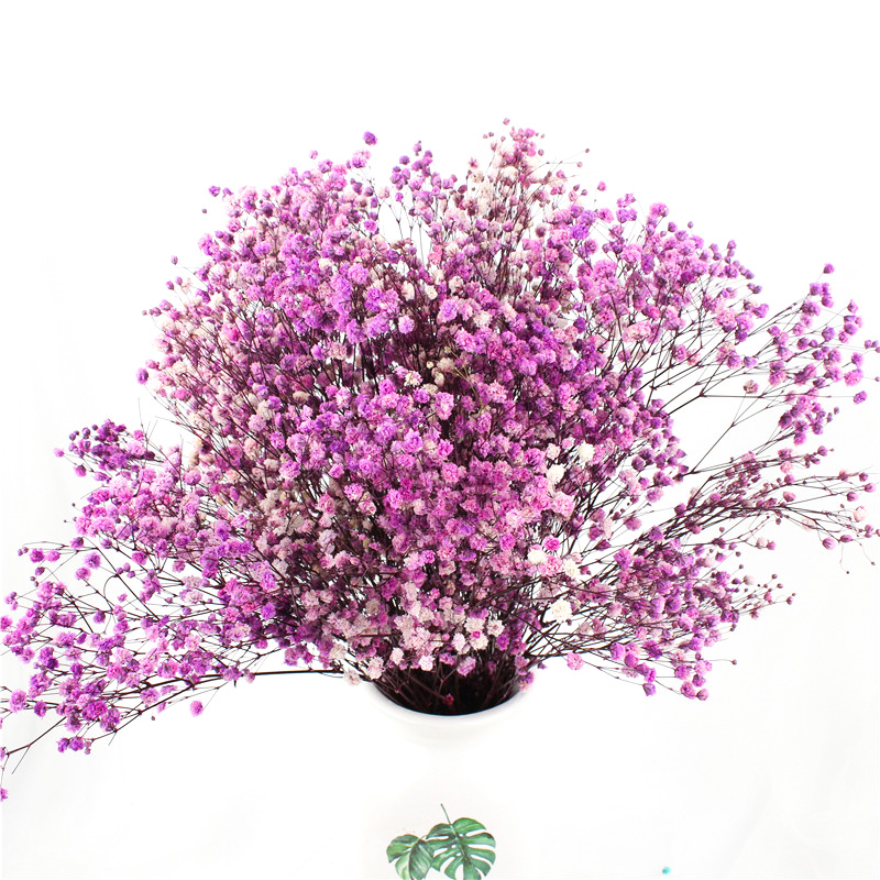 Preserved Gypsophila Baby'S Breath , Dried Gypsophila Wedding Table Flowers