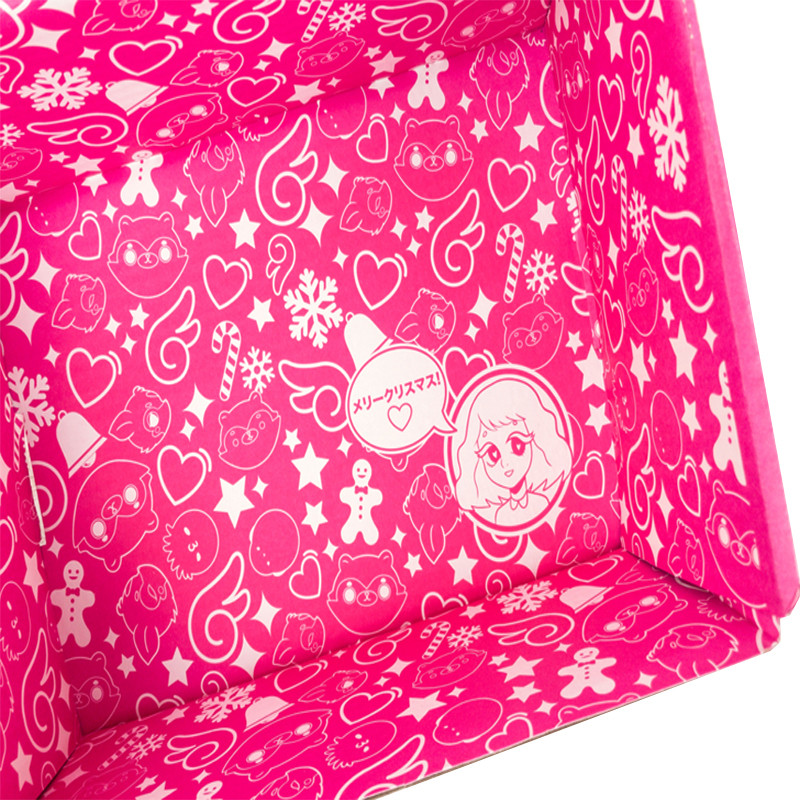 Custom Color HigH Printing Logo Quality Best Price Sexy Bra Packaging Corrugated Mailer Boxes