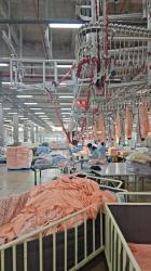 Jiangyin Fengrui Textile Technology Co., Ltd.