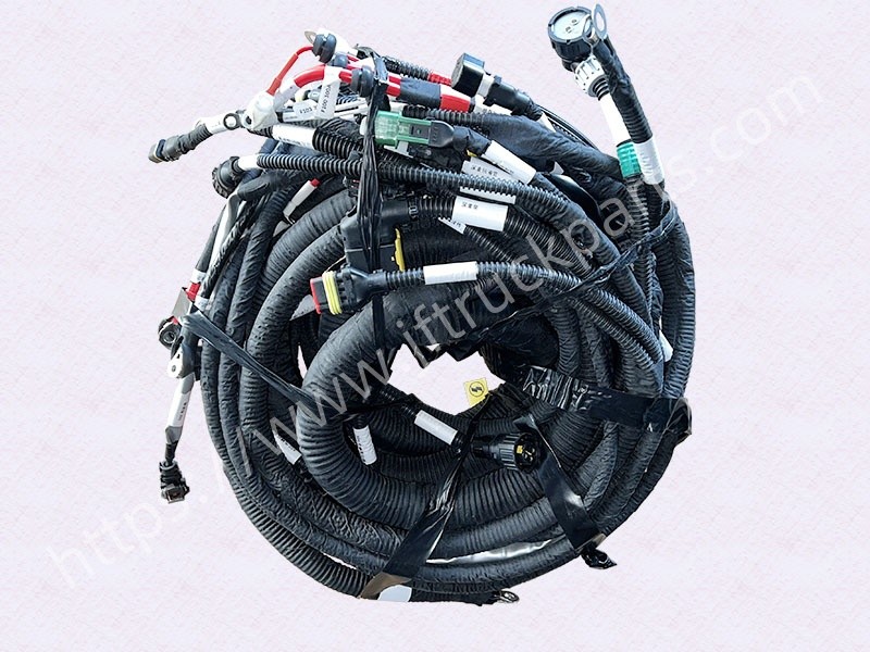Shacman truck parts Weichai engine body wiring harness DZ97189775619