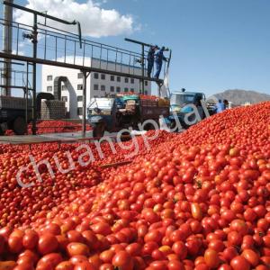 Quality China manufacturer concentrated tomato paste production line for sale