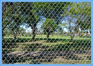 China Easily Install Chain Link Fence Fabric Green Color PVC Coated Materials on sale