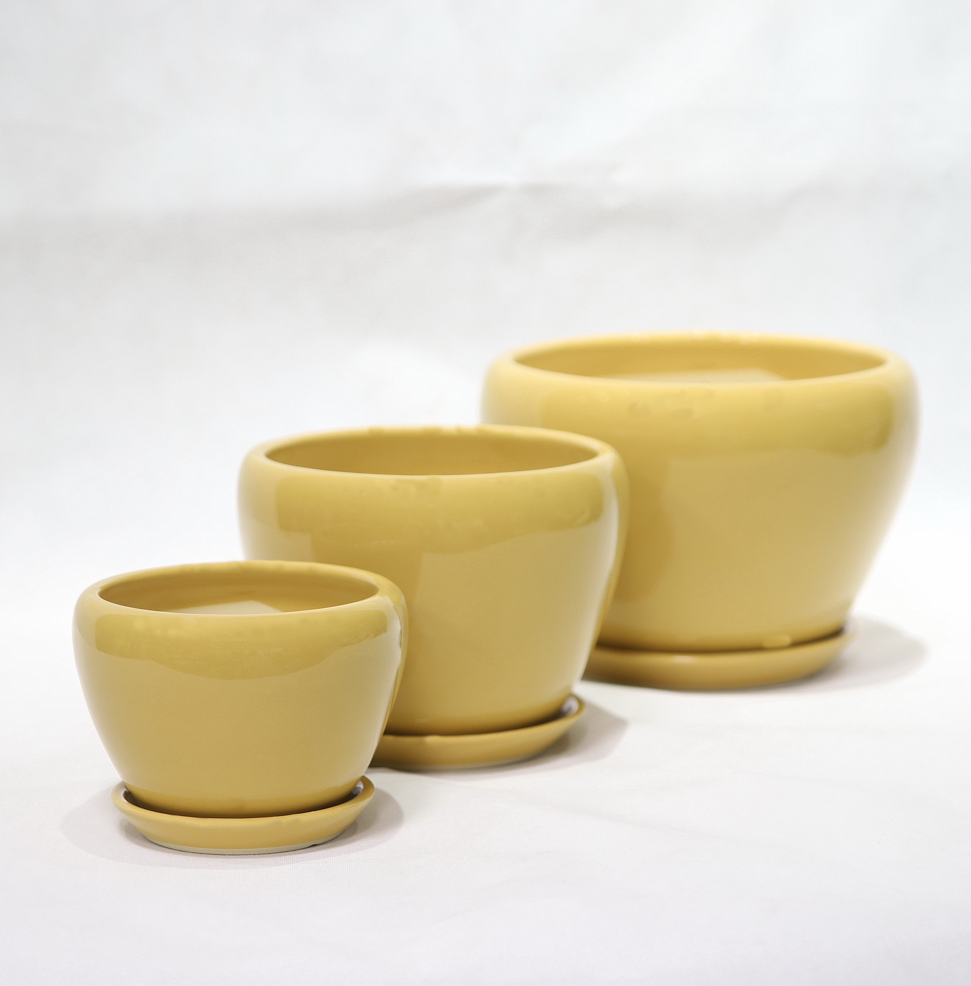 Stylish And Functional Ceramic Pots Perfect For Any Plant And Any Space