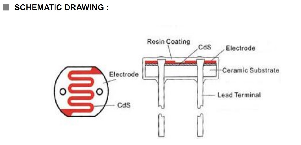 5mm CDS Photoconductive Cell / Photoresistor For Switch , Photocell Resistor