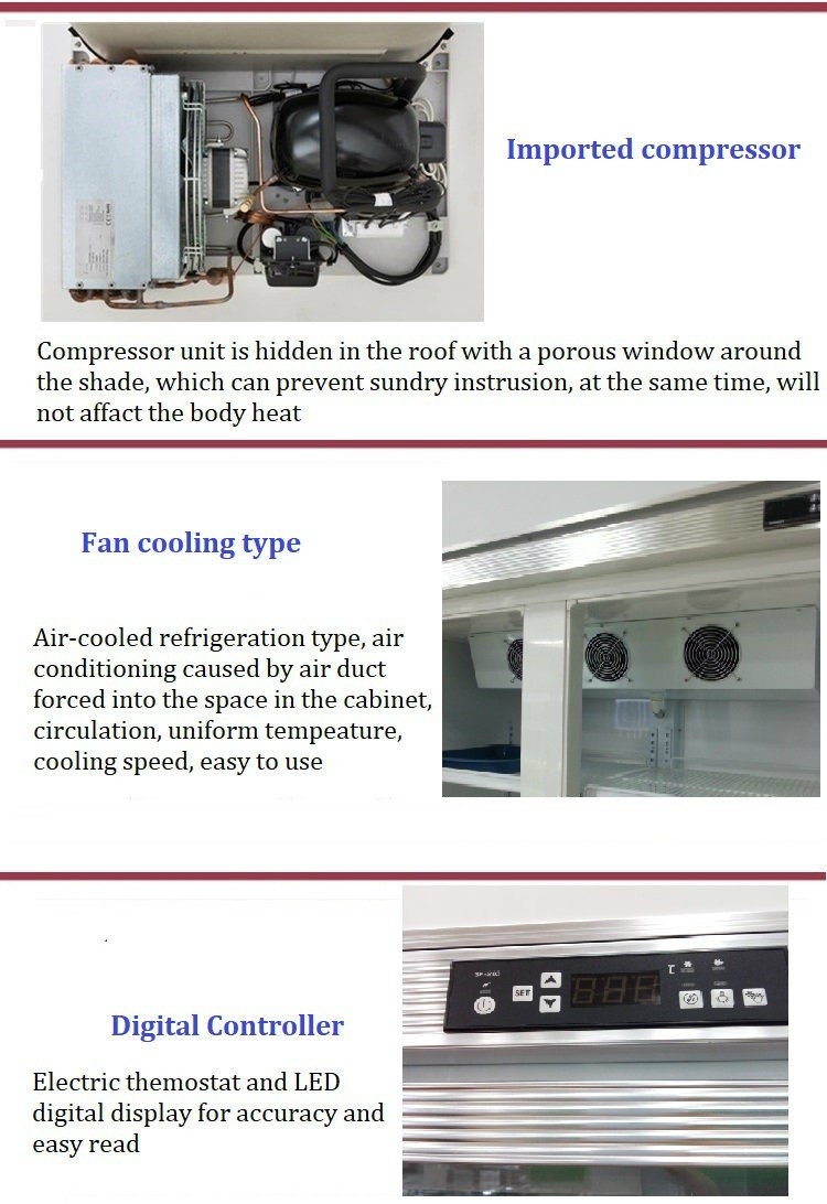 Upright Display Freezer Supermarket Refrigerator Equipment