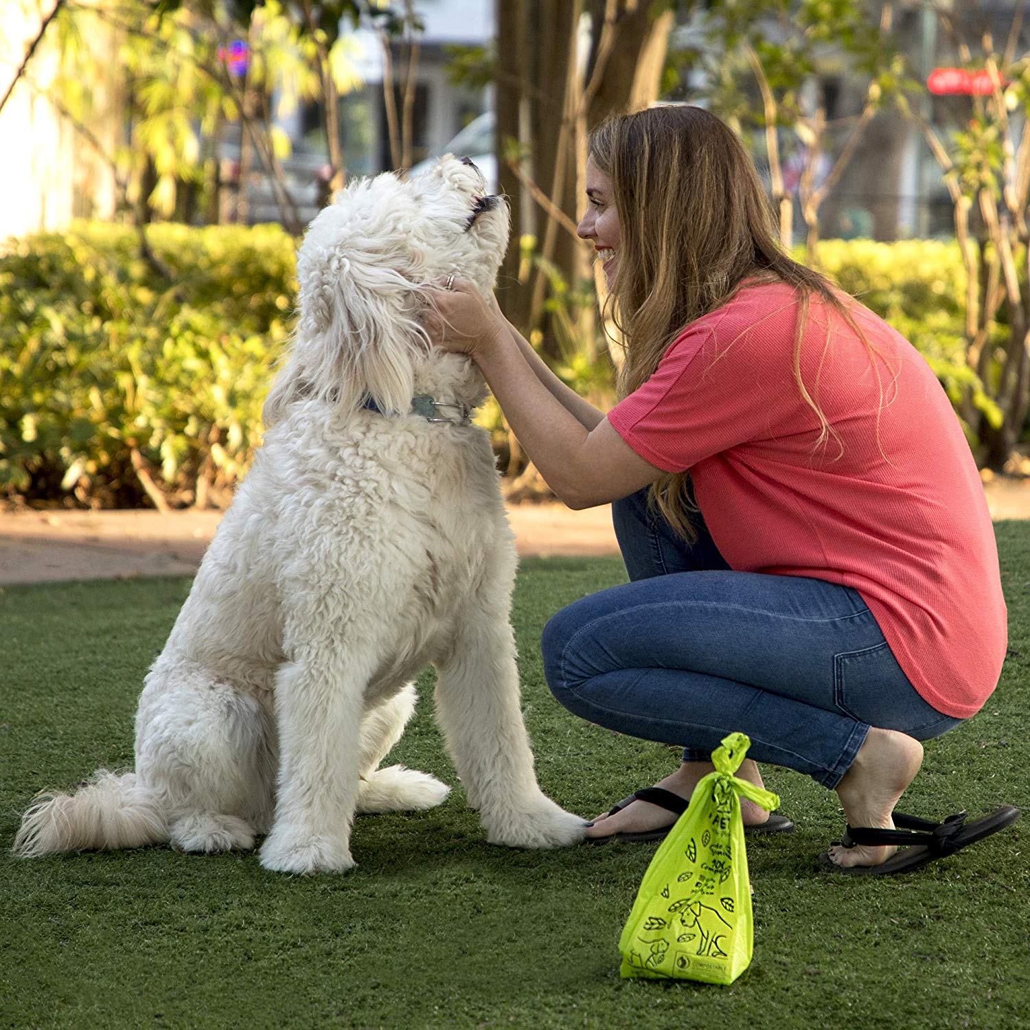 Fully Degradable Compostable Reusable Pet Dog Waste Poop Bag with Holder/Dispenser