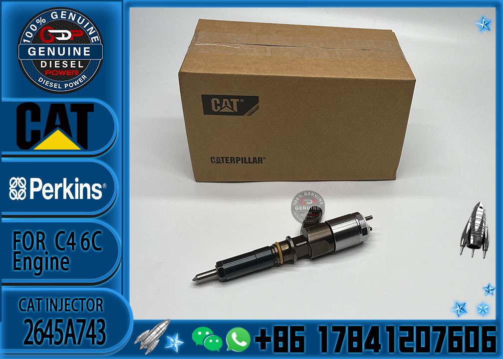 2645A743 Common rail injector fuel injecto 10R-7675 2645A748 2645A743 320-0670 for C4.2 C6.4 Excavator C4.2 C6.4 320D