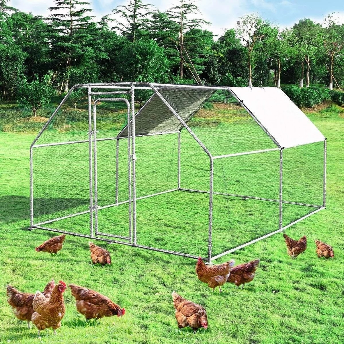 UV Stabilised Polyester Roof D4m Walk In Chicken Cage