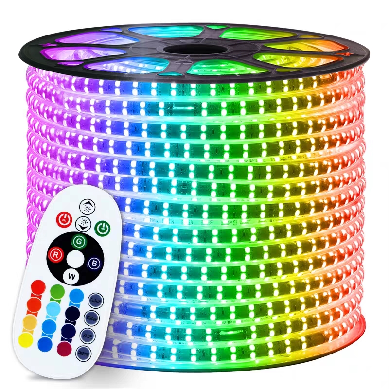 240V/230V/110V/220V RGB 5050 LED Strip Lights for Landscape with Remote IP65 Plastic Body