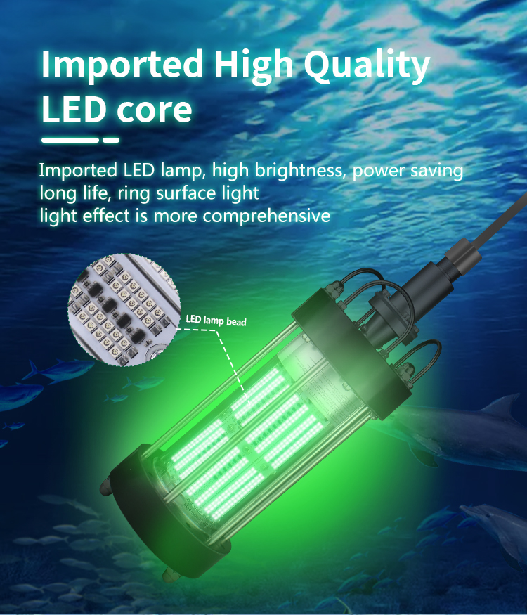 200W 1000W Submersible Fishing Light Outdoor Working Light AC220V