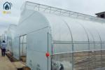 Hot Galvanized Steel Structure Commercial Tunnel Flower Vegetable Growing
