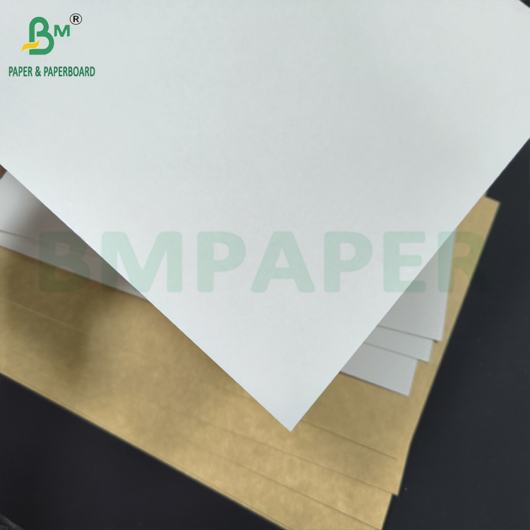 Fully Pigment Coated Multilayer kraft back board 275gsm Top White