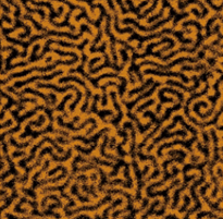 Multifunctional Atomic Force Microscope