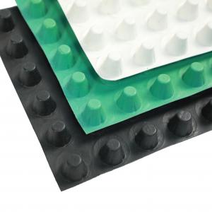 Quality 0.8mm - 2.0mm Plastic Dimpled Drainage Membrane Sheet HDPE Drain Board Membrane for sale