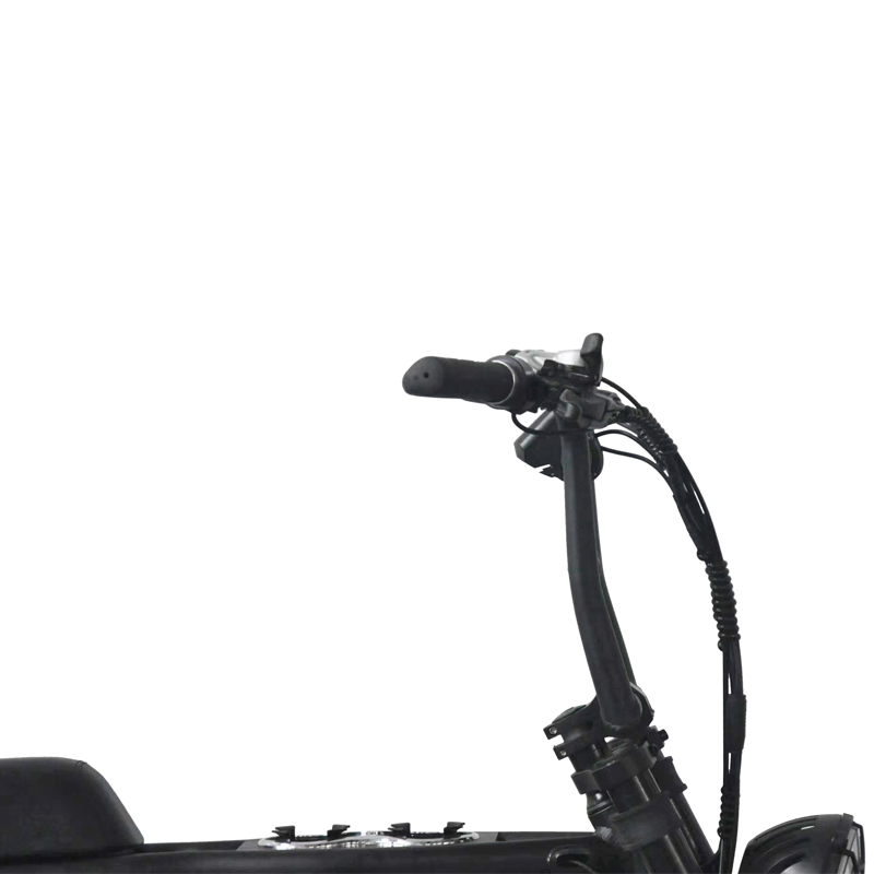 Rear Carrier Battery Electric Moped Utility E-Bikes for Work 48v 500w Full Suspension